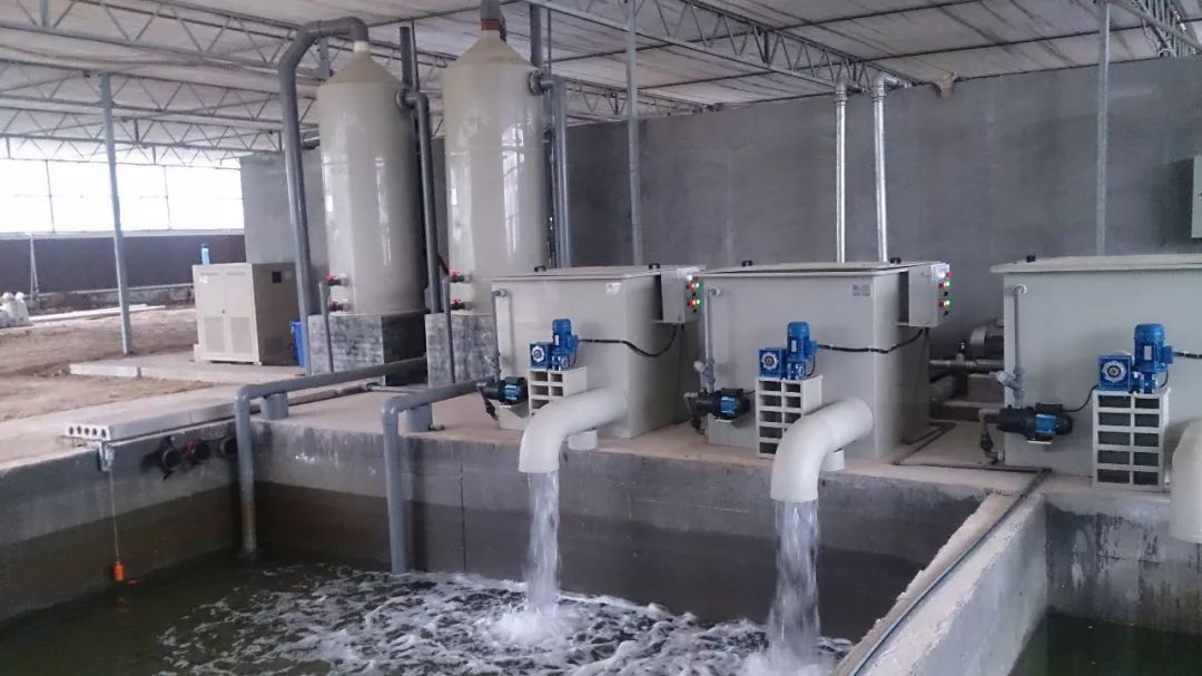 循環水處理 循環水處理